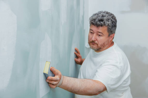 Trusted Essexville, MI Mold Removal Experts