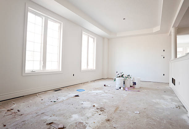 Best Black Mold Removal  in Essexville, MI