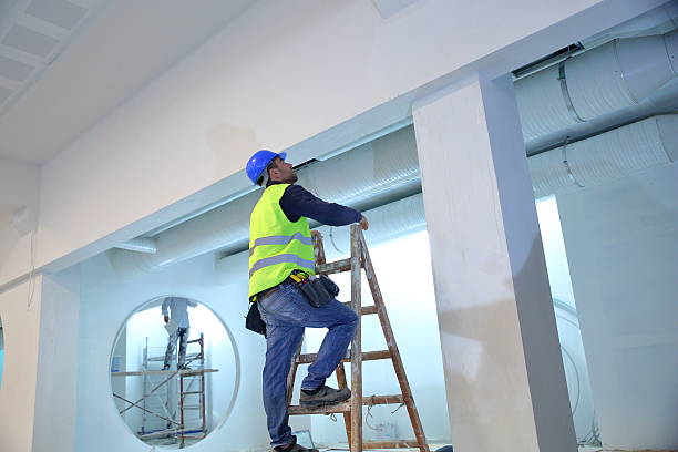 Best Mold Removal for HVAC Installations  in Essexville, MI